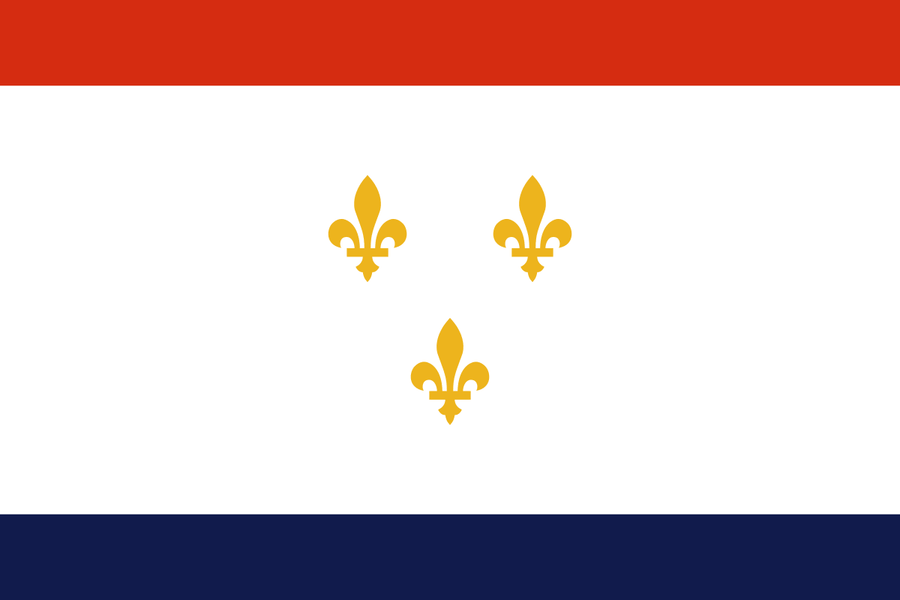 New Orleans, LA Flag